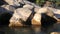 Water Cannel with Stone in Evening View Kangra Place Name Distt. Himachal Pradesh India 25