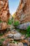 Water Canyon in Zion National Park, Utah, USA