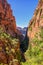 Water Canyon in Zion National Park, Utah, USA