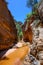 Water Canyon in Zion National Park, Utah, USA