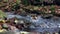 A water cascade in autumn creek with fallen leaves, close up.