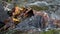 A water cascade in autumn creek with fallen leaves, close up.