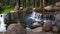 Water Cascade In Park