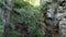 Water cascade in a rock gap overgrown with green ferns