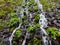 Water Cascades Down Cliff in Northern Oregon