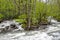 Water cascades over rocks and boulders in the Smokies.