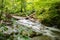 Water cascades over rocks and logs in picturesque stream