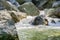 Water cascading through large rocks, Little Yosemite area, Sunol Regional Wilderness, San Francisco bay area, California