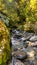 Water cascading over rapids deep in lush native bush in Roberts Point Track in the West Coast of New Zealand