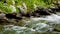 Water clear stream river flowing in the deep forest, Slow motion