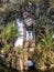 Water clock in villa Borghese, Rome