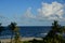 Water, clouds and palm trees make for a tropical post card along the South Florida beachfront