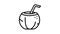 water coconut coco line icon animation