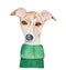 Water color illustration of pretty whippet dog wearing dark green jumper.