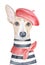 Water color portrait illustration of lovely dog wearing red french beret, classic knotted neck scarf and striped french tee-shirt.