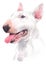 Water colour painting, white dog breed, Bull Terrier 059