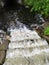 Water creek trout run bridge steps