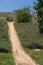 Water Culvert on Planted Hillside