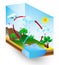 Water cycle. nature. Vector diagram