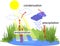 Water cycle. Scheme with water cycle evaporation, precipitation, condensation in nature for school lessons