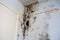 Water damage causing mold growth on the interior walls of a property