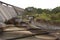 Water damp in Hoi Pui Reservoir in Hong Kong