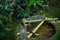 Water dipper on a stone basin at Koto-in Temple in Kyoto