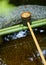 Water dipper on a stone basin at Koto-in Temple in Kyoto