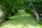 Water ditch covered by green moss in a beautiful green forest environment