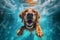 water dog underwater funny snorkeling vacation fun puppy pool swimming. Generative AI.