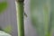 Water drop closeup photo capture at Dhaka, Bangladesh