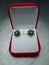 Water drop shaped green garnet earrings