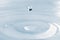 Water drop and splash background, small impact causes big changes. Ripple, macro wave on surface of liquid