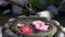 Water droping on the Camellia flower in the Japanese style fountain