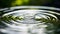 A water droplet creating ripples on the surface of a pond