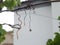 water droplets on dead grape vines hanging from a steel wire