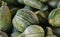 Water Droplets on Honeydew Melons