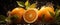 Water Droplets on Luscious Orange Fruits A Stunning Display of Natural Beauty Created with Generative AI