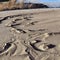 water droplets on a surface. sand ripples in the sand. sand texture background