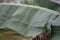 Water drops on banana leaf