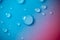 water drops on a blue background with a pink gradient.Fluid texture in cold blue tones.macro drops set