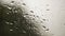 Water drops on car windscreen in monsoon