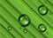 Water drops on green grass, .