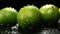 Water Drops Green Lemons and Slices on Selective Focus Background