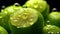 Water Drops Green Lemons and Slices on Selective Focus Background