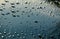 Water drops on green metallic paint on the wet hood of a car. You can`t buy very beautiful reflections and large drops thanks to t