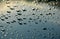 Water drops on green metallic paint on the wet hood of a car. You can`t buy very beautiful reflections and large drops thanks to t