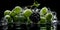 Water Drops on Group of Delicious Fresh Green Grapes As Defocused Background