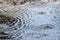 Water drops hitting surface of a water pond