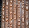 Water drops on an impregnated wooden terrace after rain, impregnated wood lets water drip off and doesnÂ´t allow dirt to adhere